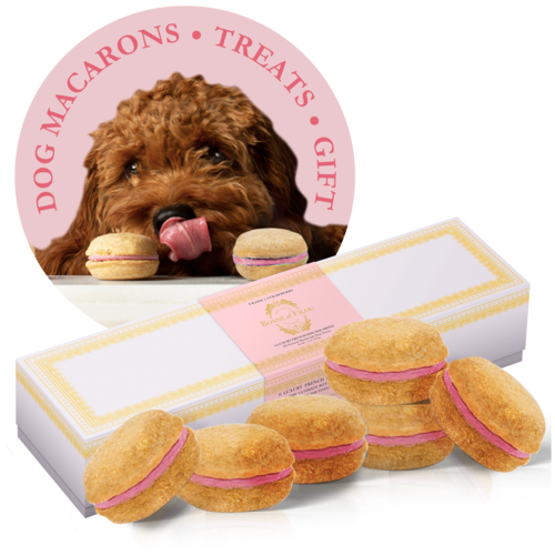 Dog Macarons - Box of 6