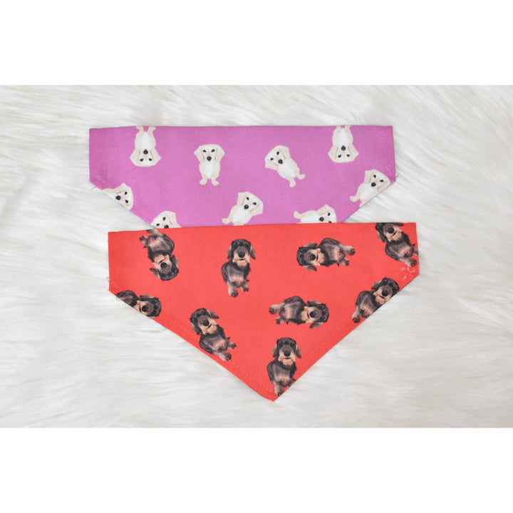 Dachshund Reversible Slip-on Bandana
