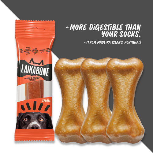 Cheese & Salmon ( BOX )