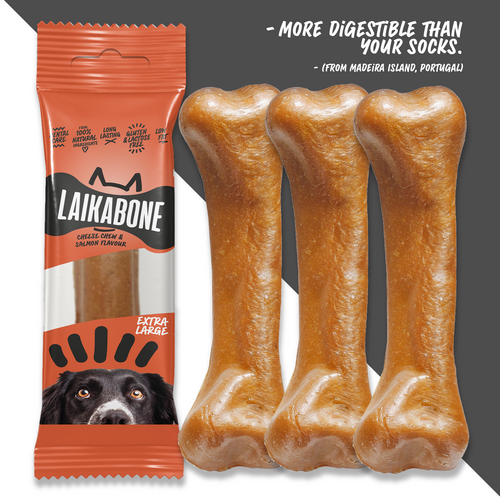 Cheese & Salmon ( BOX )