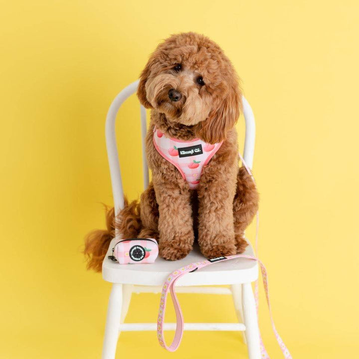 Precious Peach Daisy Leash, Dog Leash, Cute Dog Leash, Pink Dog Leash,