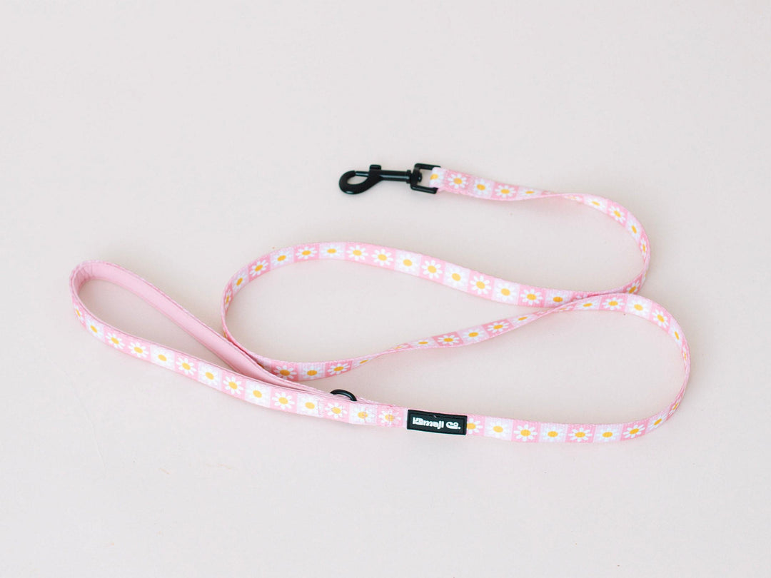 Precious Peach Daisy Leash, Dog Leash, Cute Dog Leash, Pink Dog Leash,