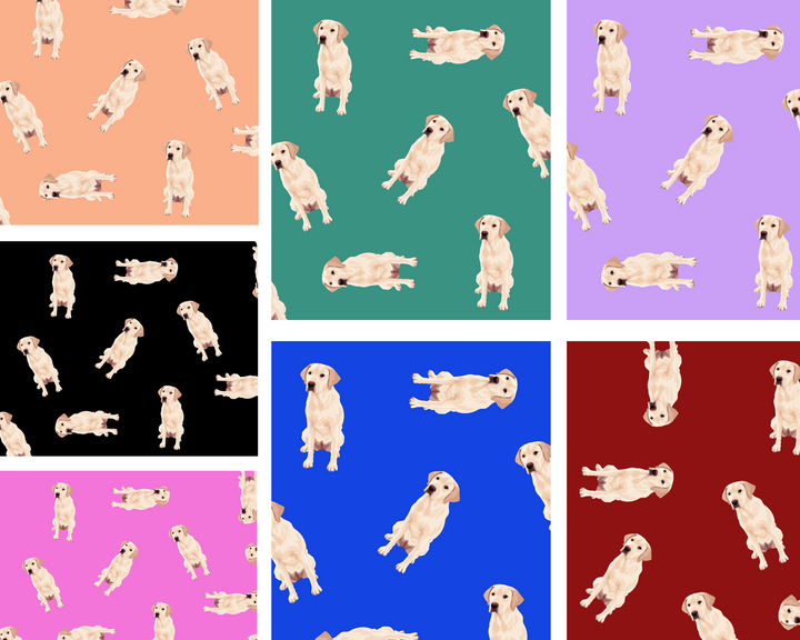 Labrador Retriever Face Cover