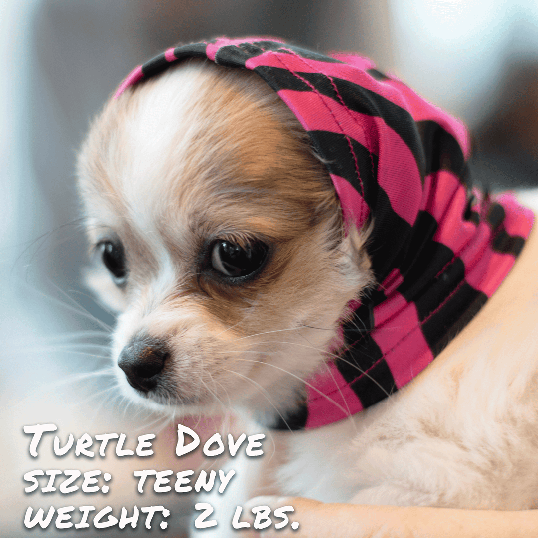 Zebra Pink Pup Scruff
